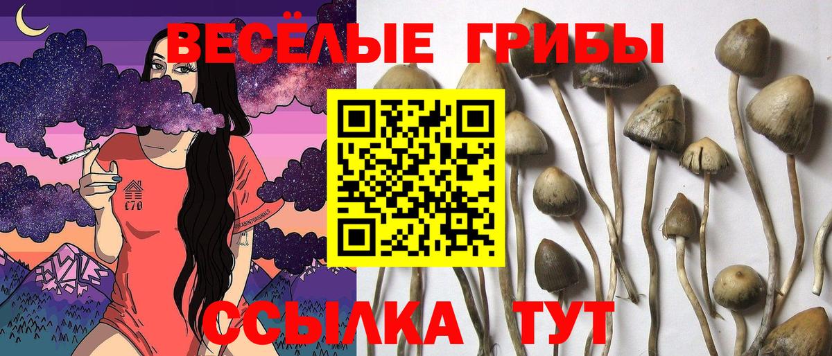 Псилоцибиновые грибы ЛСД Магнитогорск